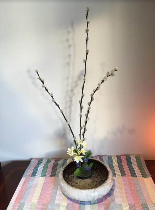 Three-dimensional composition (Pussy willows, Narcissus) - Ikebana for you at ikebanaforyou.co.uk